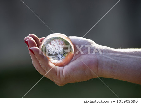 conceptual crystal ball 105909690