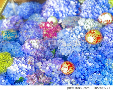 Hydrangea floating in water 105909774