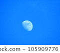 moon floating in the blue sky 105909776