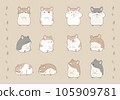 Roborovski hamster illustration set 105909781