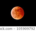 Red Moon 105909792