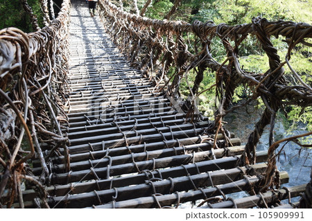 Kazura Bridge 1 Kazura Bridge 1 105909991