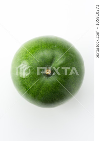 冬瓜 105910273