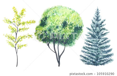 Illustration of a trees hand painted in watercolor Illustration of a trees hand painted in watercolor 105910290