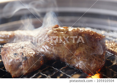 在烘焙機中烤製的多汁豪華烤肉 105910504