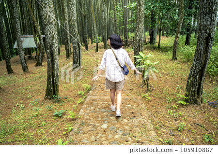 Rear view of an Asian woman walking around in the forest Rear view of an Asian woman walking around in the forest 105910887