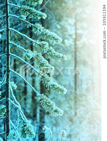 winter landscape winter landscape 105911394