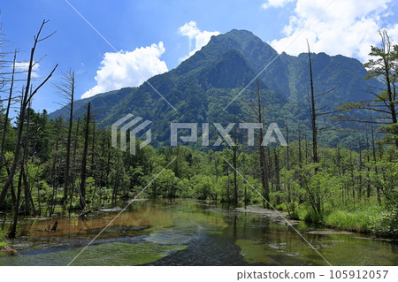 夏季的上高地岳澤濕地 夏季的上高地岳澤濕地 105912057