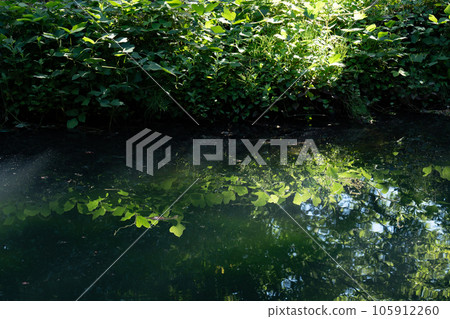 midsummer waterside light midsummer waterside light 105912260