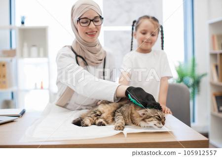 Arabian vet stroking cat with grooming glove near owner Arabian vet stroking cat with grooming glove near owner 105912557