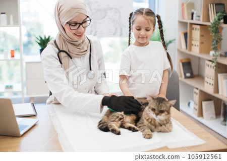 Vet and child brushing cat with gentle glove for shedding 105912561