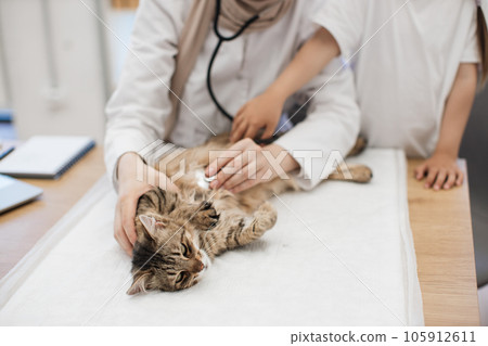 Vet doctor putting stethoscope on cat's belly near tween kid 105912611
