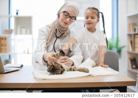Animal doctor performing chest exam of cat with help of kid 105912617