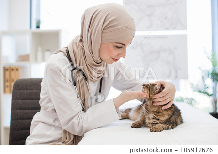 Feline practitioner inspecting cat's ears on vet check-up 105912676