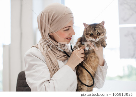 Medical specialist examining pet with stethoscope in clinic 105913055