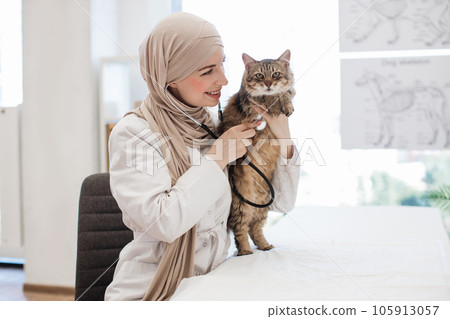 Vet in hijab listening to chest of cat in pet care facility 105913057