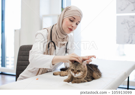 Muslim vet performing inoculation for pet in animal hospital 105913099