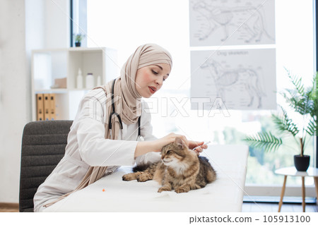 Veterinary specialist giving vaccine to animal in hospital 105913100