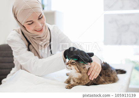 Muslim vet using deshedding glove with cat in exam room Muslim vet using deshedding glove with cat in exam room 105913139