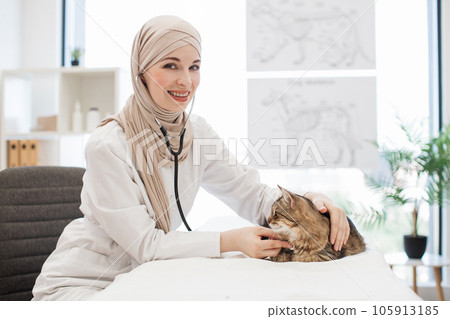 Vet using stethoscope for examining cat in modern clinic 105913185