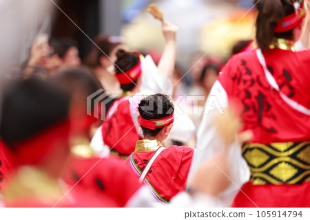 給夏天增添色彩的夜來節 給夏天增添色彩的夜來節 105914794