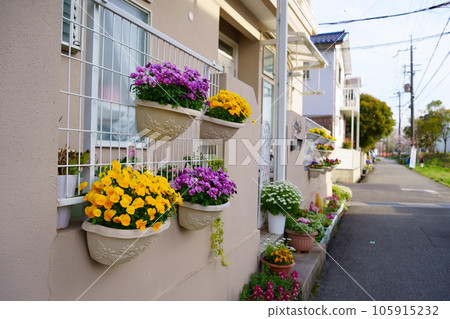 residential area with flowers residential area with flowers 105915232