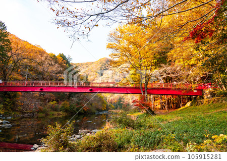 Ukankei Ukan River with autumn leaves and Akahashi 1 Kibichuo-cho, Kaga-gun, Okayama Prefecture 105915281