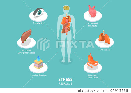 3D Isometric Flat Vector Conceptual Illustration of Stress Response 3D Isometric Flat Vector Conceptual Illustration of Stress Response 105915586