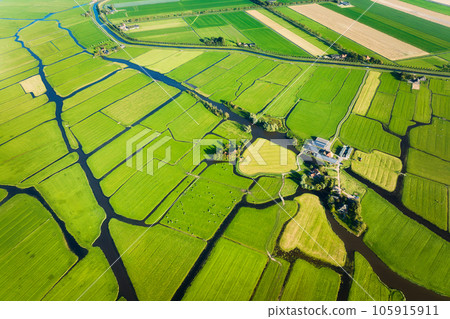 Aerial view of green field. Netherlands. Canals with water for agriculture.  105915911