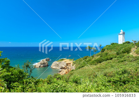 石川縣加賀市夏季笠岬的景色 105916833