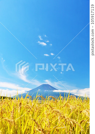 Autumn blue sky, rice field and Mt. Fuji Autumn blue sky, rice field and Mt. Fuji 105917119