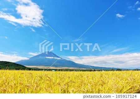 Autumn blue sky, rice field and Mt. Fuji Autumn blue sky, rice field and Mt. Fuji 105917124