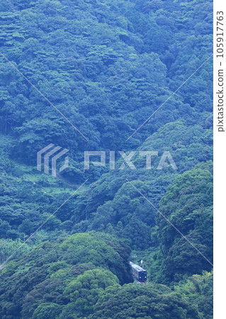 YC1 hybrid diesel train running through a deep green forest Nagasaki main line old line 105917763