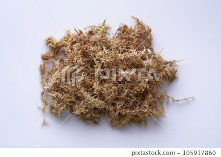 Gardening water moss 105917860