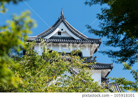Hikone Castle tower in summer Hikone City, Shiga Prefecture 105918101
