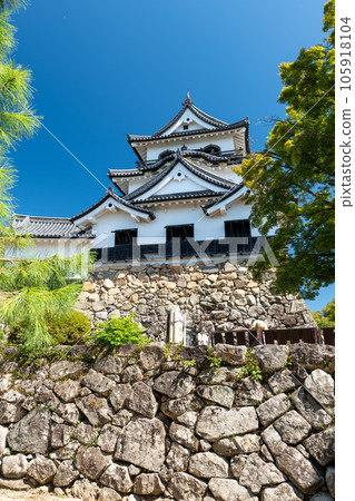 Hikone Castle tower in summer Hikone City, Shiga Prefecture 105918104