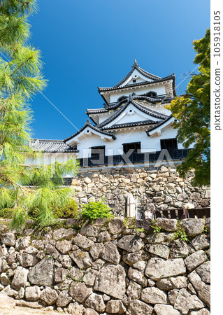 Hikone Castle tower in summer Hikone City, Shiga Prefecture 105918105