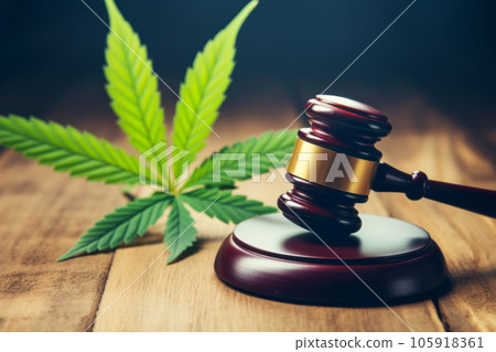 judge hammer and cannabis leaves on wooden background 105918361