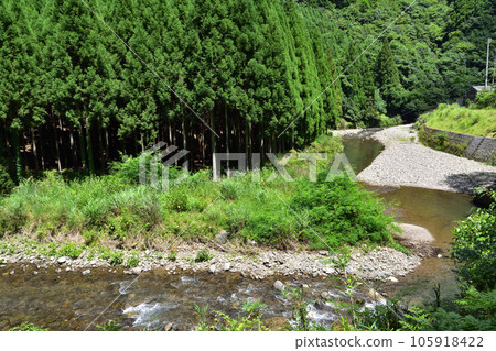 Clear stream of Kiyotaki River and Kitayama cedar in Nakagawa Higashiyama-cho, Kyoto 105918422