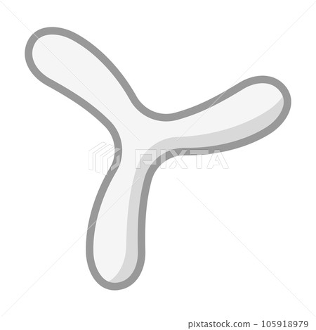 boomerang 105918979