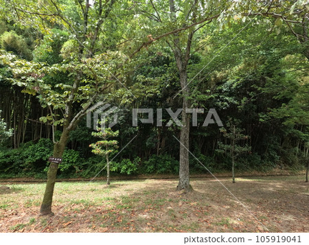 Chita City Asahi Park Chita City Asahi Park 105919041