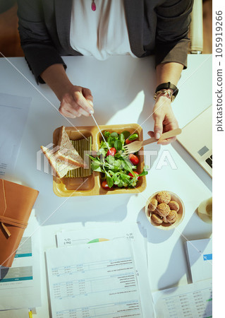 bookkeeper woman in green office eating salad bookkeeper woman in green office eating salad 105919266