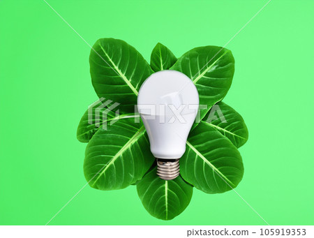Top View of Eco-Friendly Lightbulb Made of Fresh Leaves - Nature-Inspired Concept for Sustainable and Green Living Top View of Eco-Friendly Lightbulb Made of Fresh Leaves - Nature-Inspired Concept for Sustainable and Green Living 105919353
