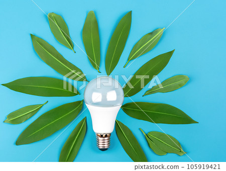 Green Eco-Friendly Lightbulb from Fresh Leaves - Sustainable Concept for Nature, Environment, and Renewable Energy Green Eco-Friendly Lightbulb from Fresh Leaves - Sustainable Concept for Nature, Environment, and Renewable Energy 105919421