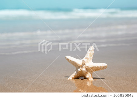 Starfish on tropical beach. Seaside vacation. Starfish on tropical beach. Seaside vacation. 105920042