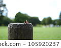 Miniature inspired by traveling alone Miniature inspired by traveling alone 105920237