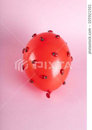 an invasion of numerous ladybugs on a red inflatable balloon an invasion of numerous ladybugs on a red inflatable balloon 105921501