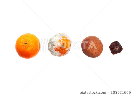 Tangerines set isolated on white background. Ripe orange tangerine  105921669