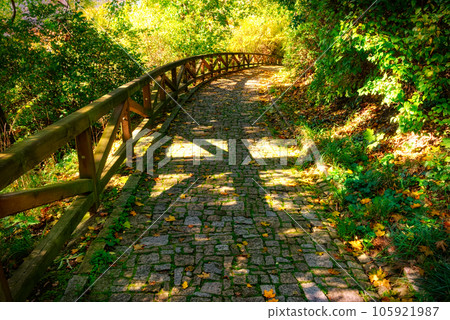 Stone paved path in the autumn forest. 105921987