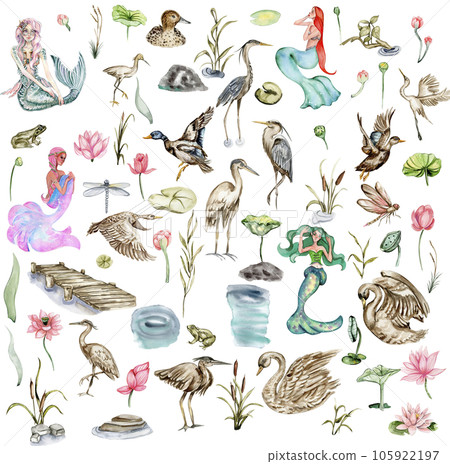 Watercolor set or mermaid, duck, swan,pier, heron. Watercolor hand drawn illustration. Perfect for children artworks, wallpapers, posters, greeting cards, prints . 105922197